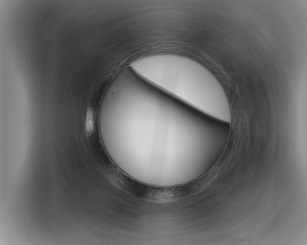 X0000116430075200912081229