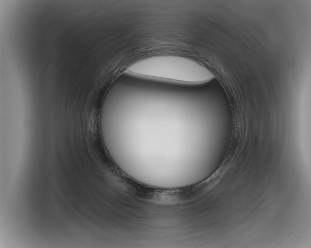 X0000116430078200912081229