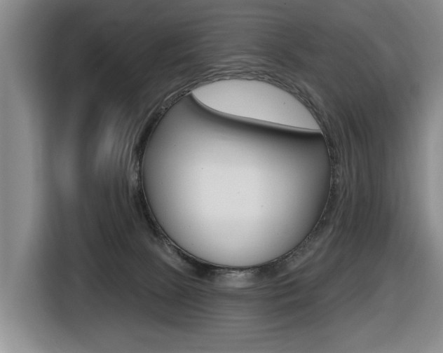 X0000116430081200912081229