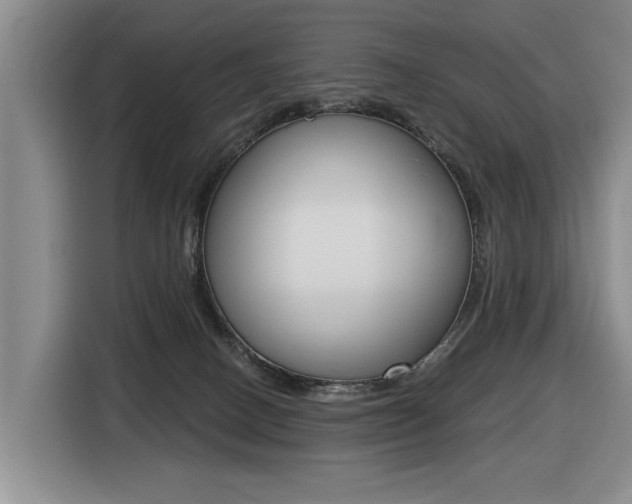 X0000116430082200912081229