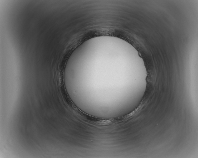 X0000116430086200912081229