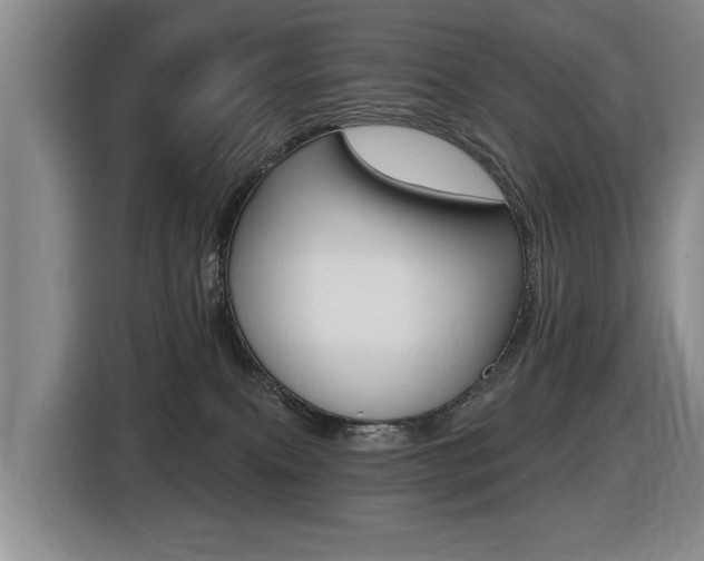 X0000116430087200912081229