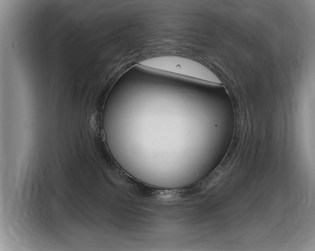 X0000116430088200912081229