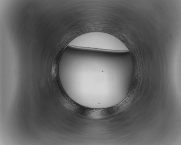 X0000116430090200912081229