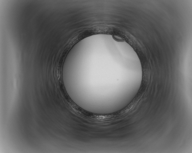 X0000116430091200912081229