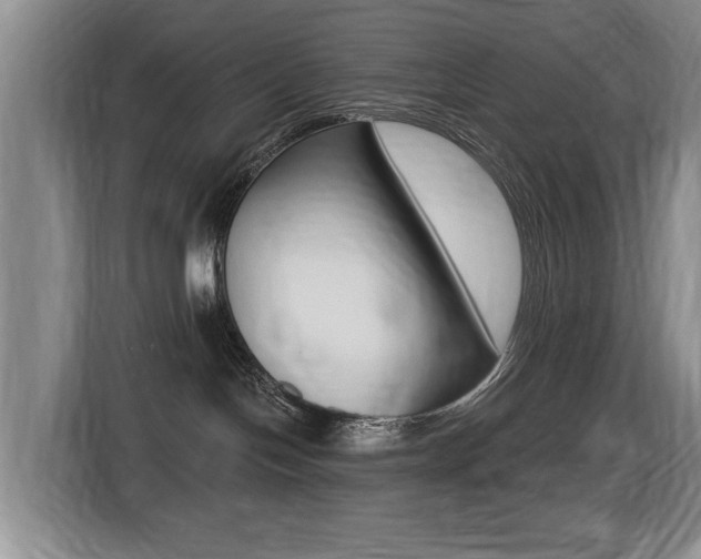 X0000116430094200912081229