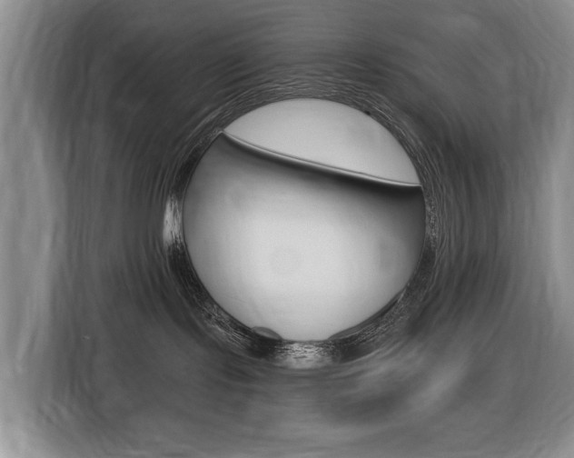 X0000116430095200912081229