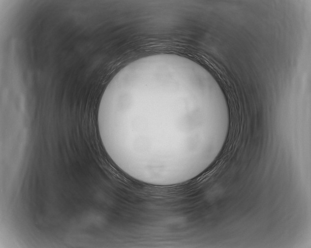 X0000116430096200912081229