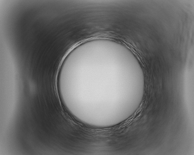 X0000116430100200912081228