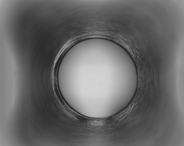 X0000116430102200912081228