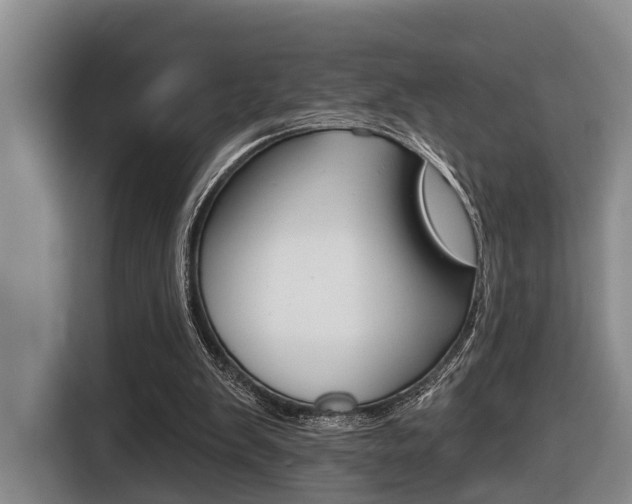 X0000116430103200912081228