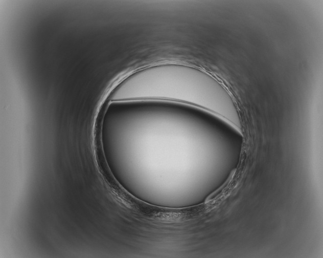 X0000116430104200912081228