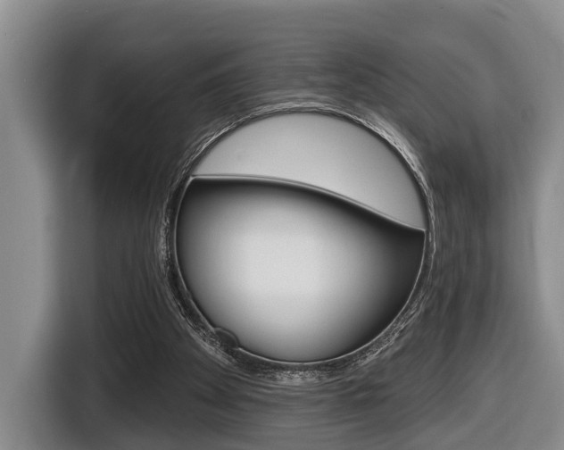 X0000116430105200912081228