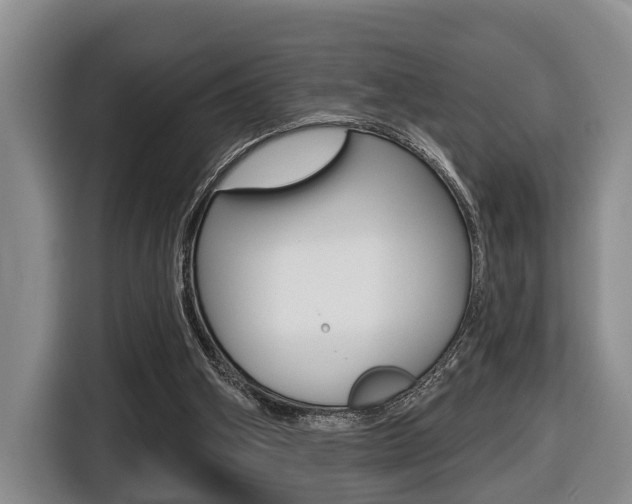 X0000116430106200912081228