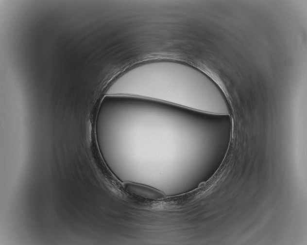 X0000116430109200912081228