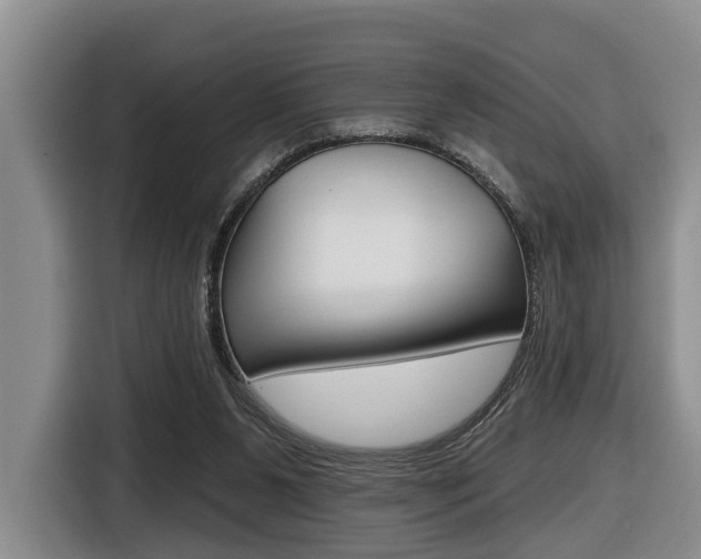 X0000116430111200912081228