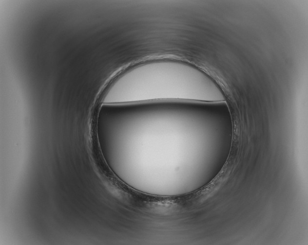 X0000116430112200912081228