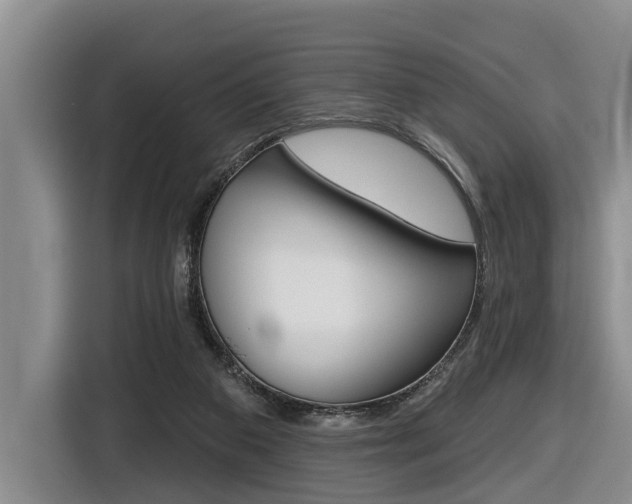 X0000116430113200912081228