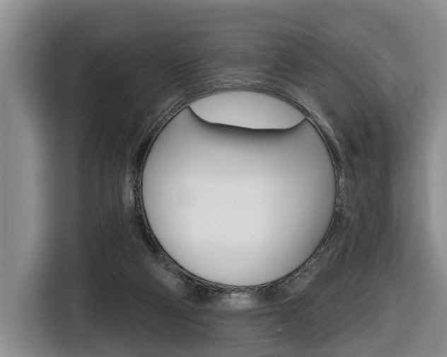 X0000116430114200912081228