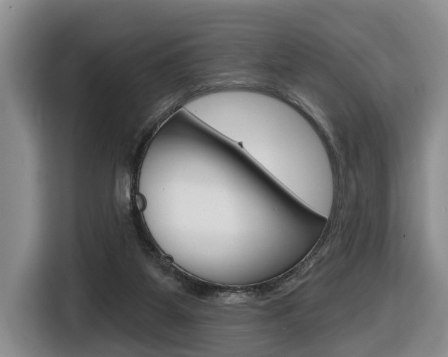 X0000116430115200912081228