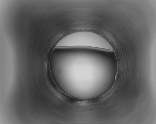 X0000116430120200912081228