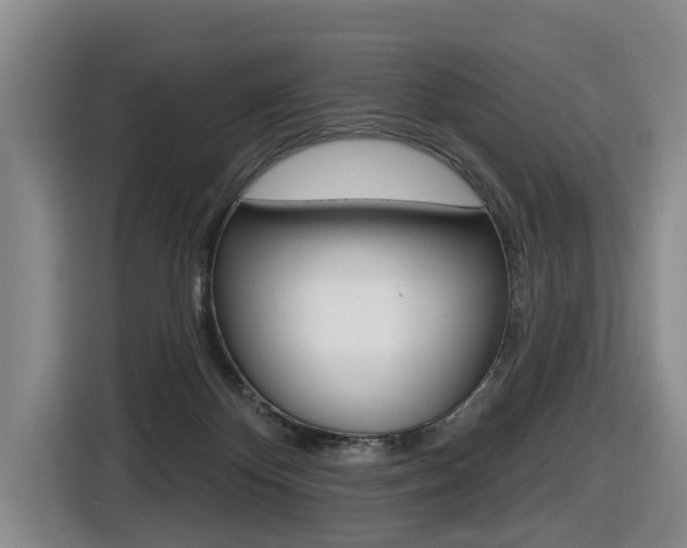 X0000116430124200912081228