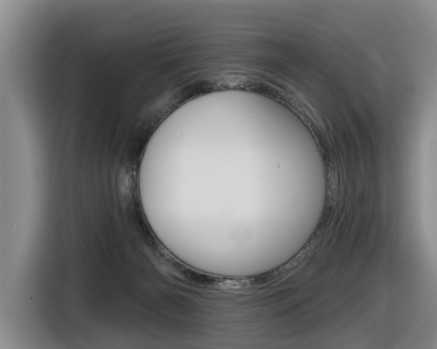 X0000116430126200912081228
