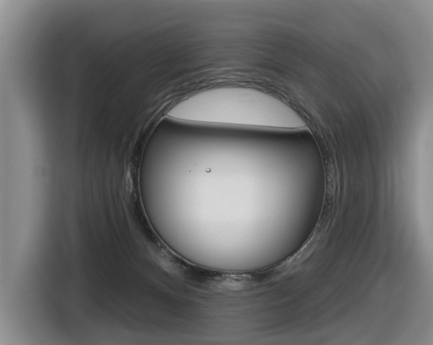 X0000116430128200912081228