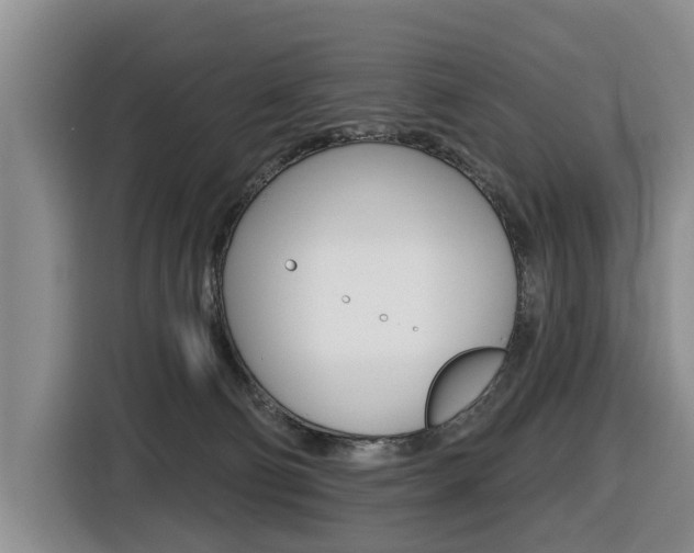 X0000116430130200912081228