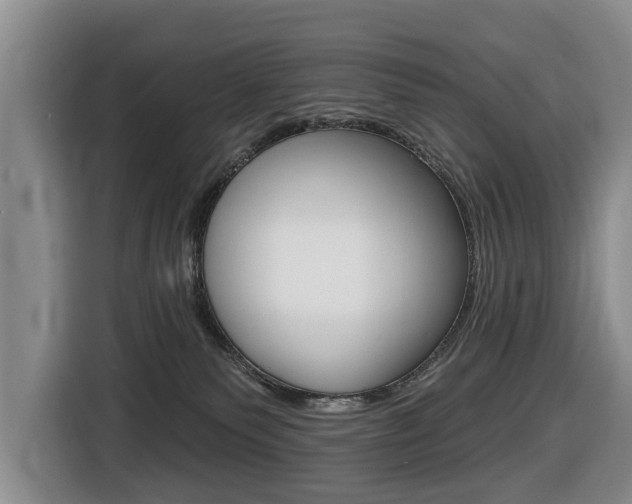 X0000116430135200912081228
