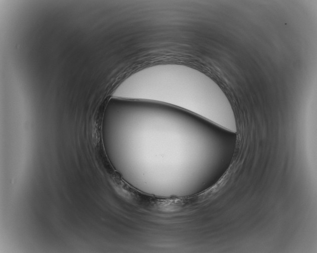 X0000116430136200912081228