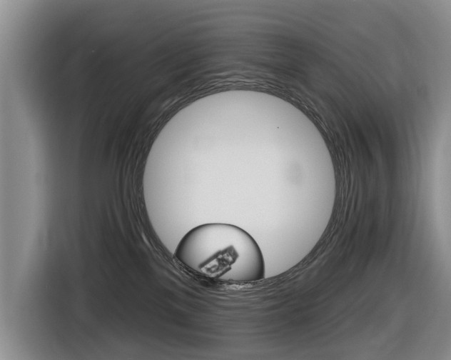 X0000116430137200912081228