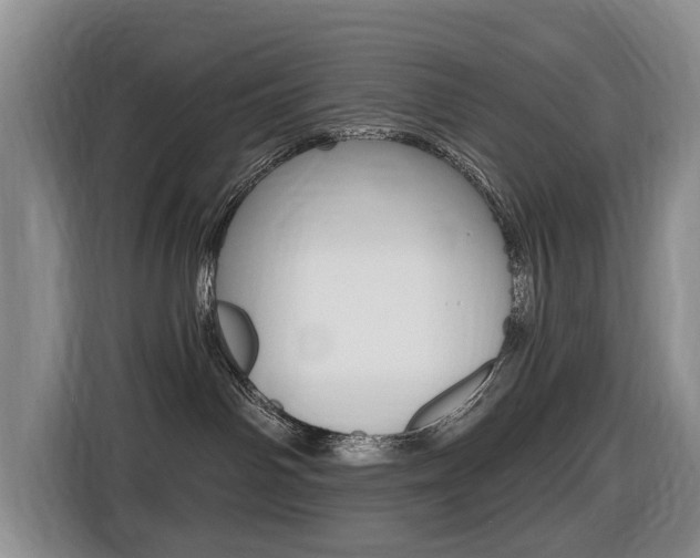 X0000116430142200912081228