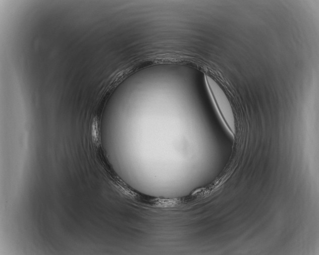 X0000116430143200912081228