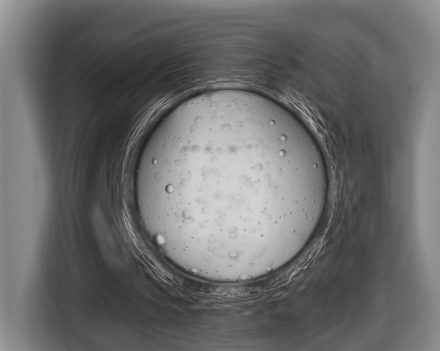X0000116430145200912081227