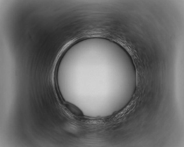X0000116430147200912081227