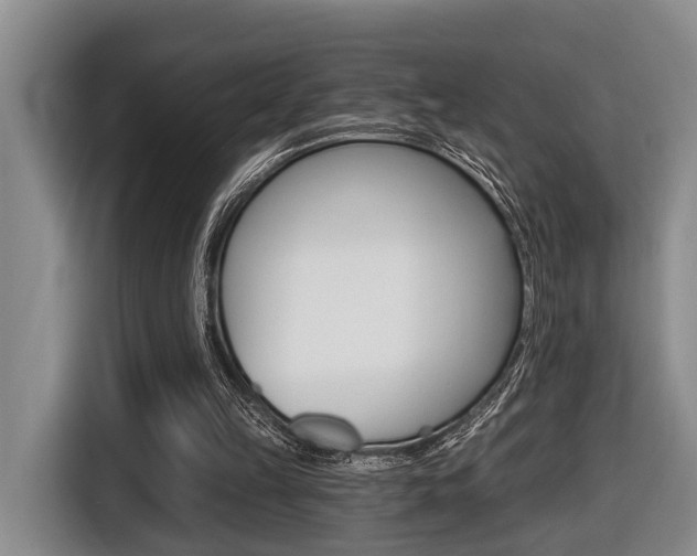 X0000116430149200912081227