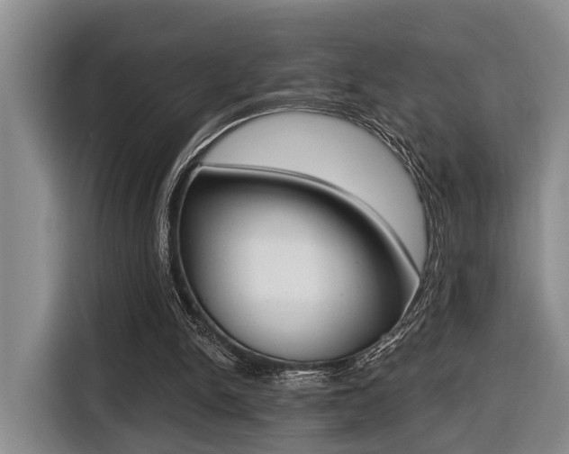 X0000116430150200912081227