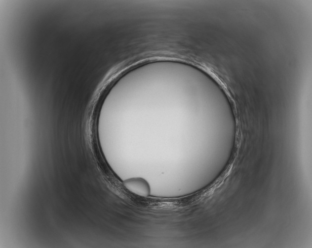 X0000116430151200912081227