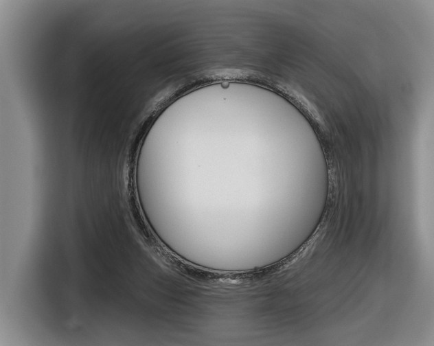 X0000116430159200912081227