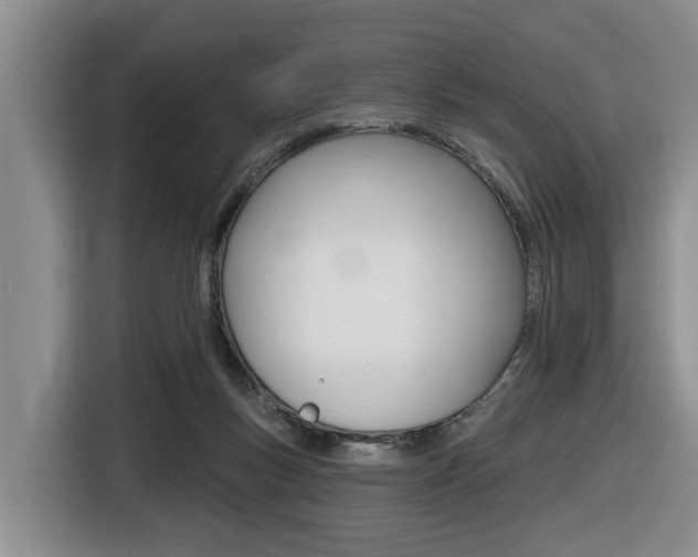 X0000116430167200912081227