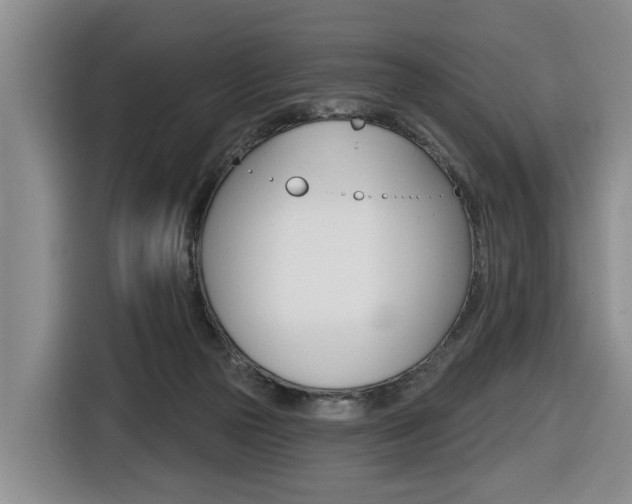 X0000116430169200912081228