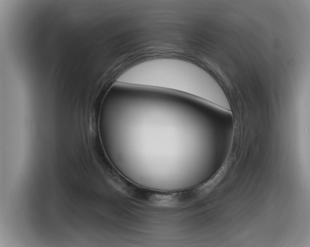 X0000116430170200912081228