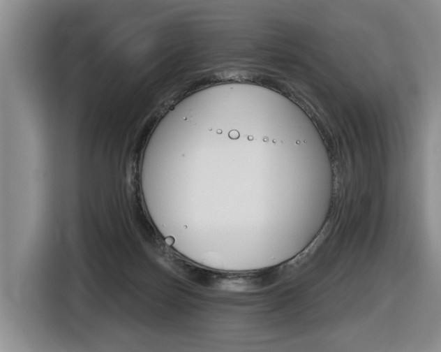 X0000116430171200912081228
