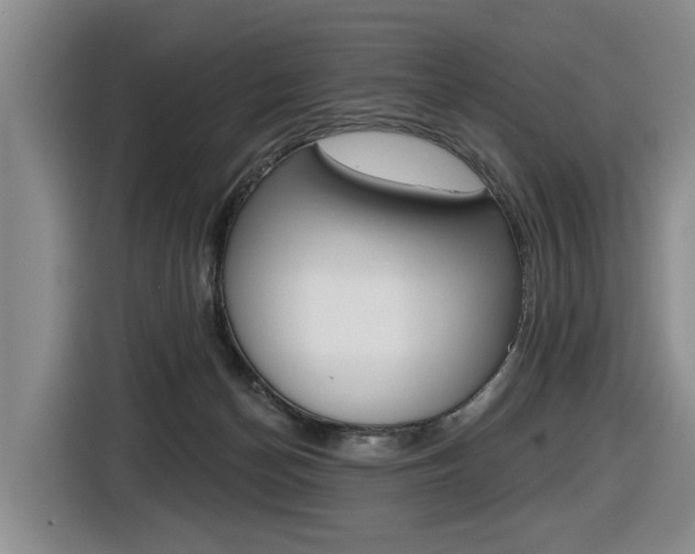 X0000116430174200912081228