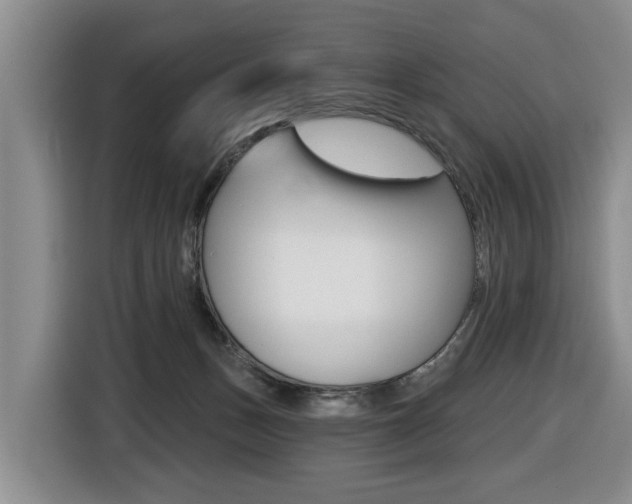 X0000116430175200912081228
