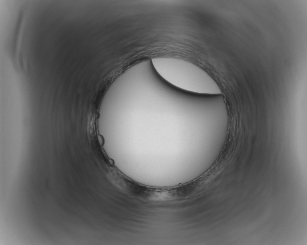 X0000116430177200912081228