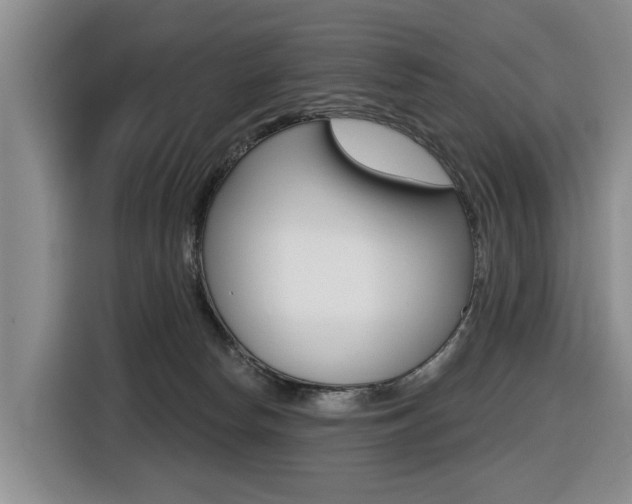 X0000116430178200912081228
