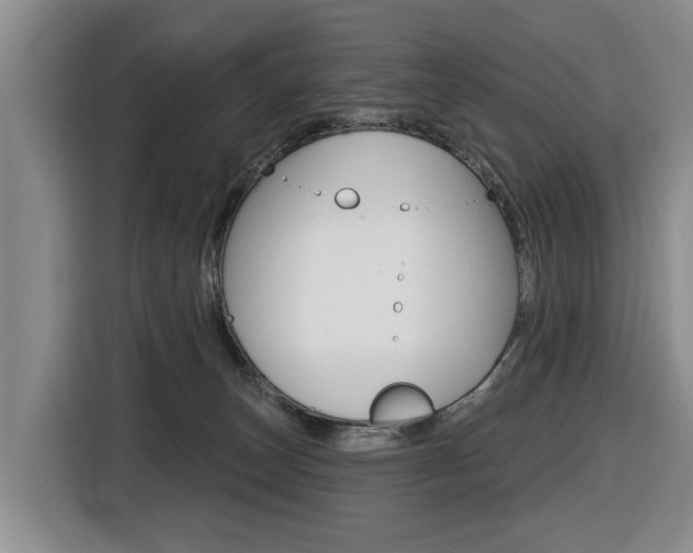 X0000116430179200912081228