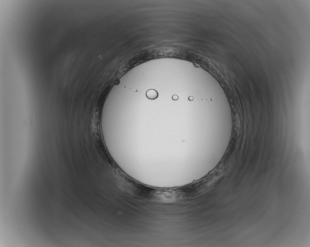 X0000116430181200912081228